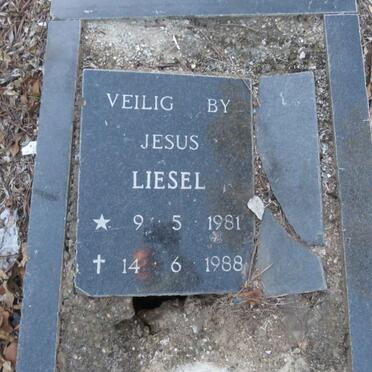 ? Liesel 1981-1988