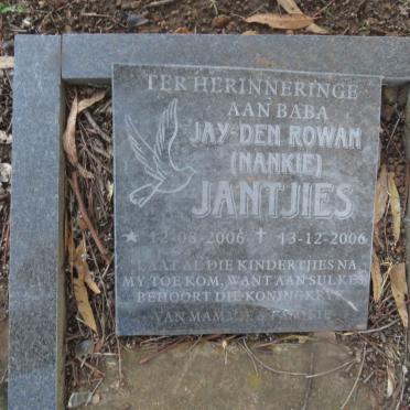 JANTJIES Jay-Den Rowan 2006-2006