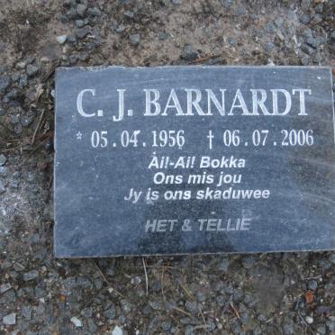 BARNARDT C.J. 1956-2006