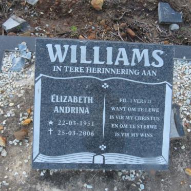 WILLIAMS Elizabeth Andrina 1951-2006