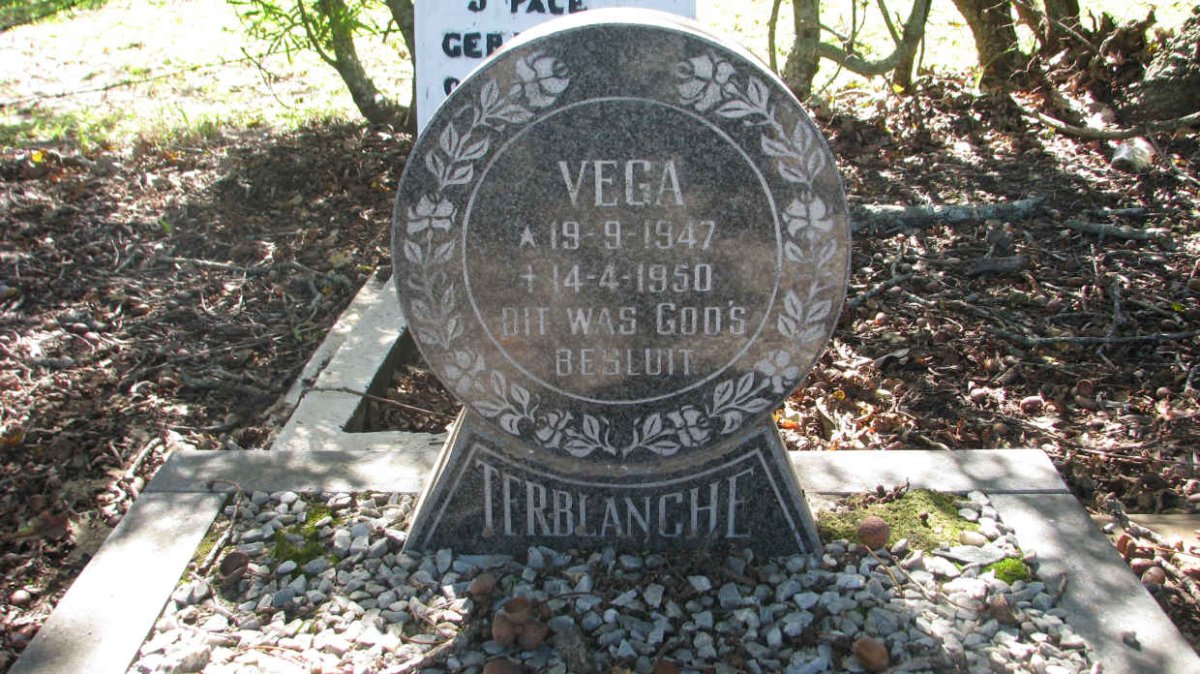 TERBLANCHE Vega 1947-1950