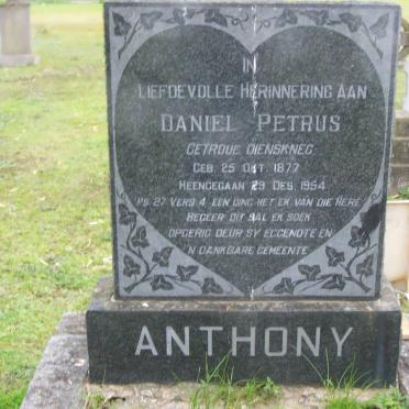 ANTHONY Daniel Petrus 1877-1954