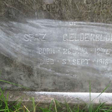 GELDERBLOEM Spaz 1875-1913