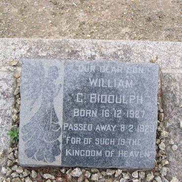 BIDDULPH William C. 1927-1929