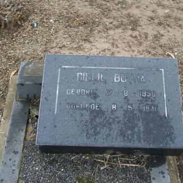 BOTHA Gielie 1930-1931