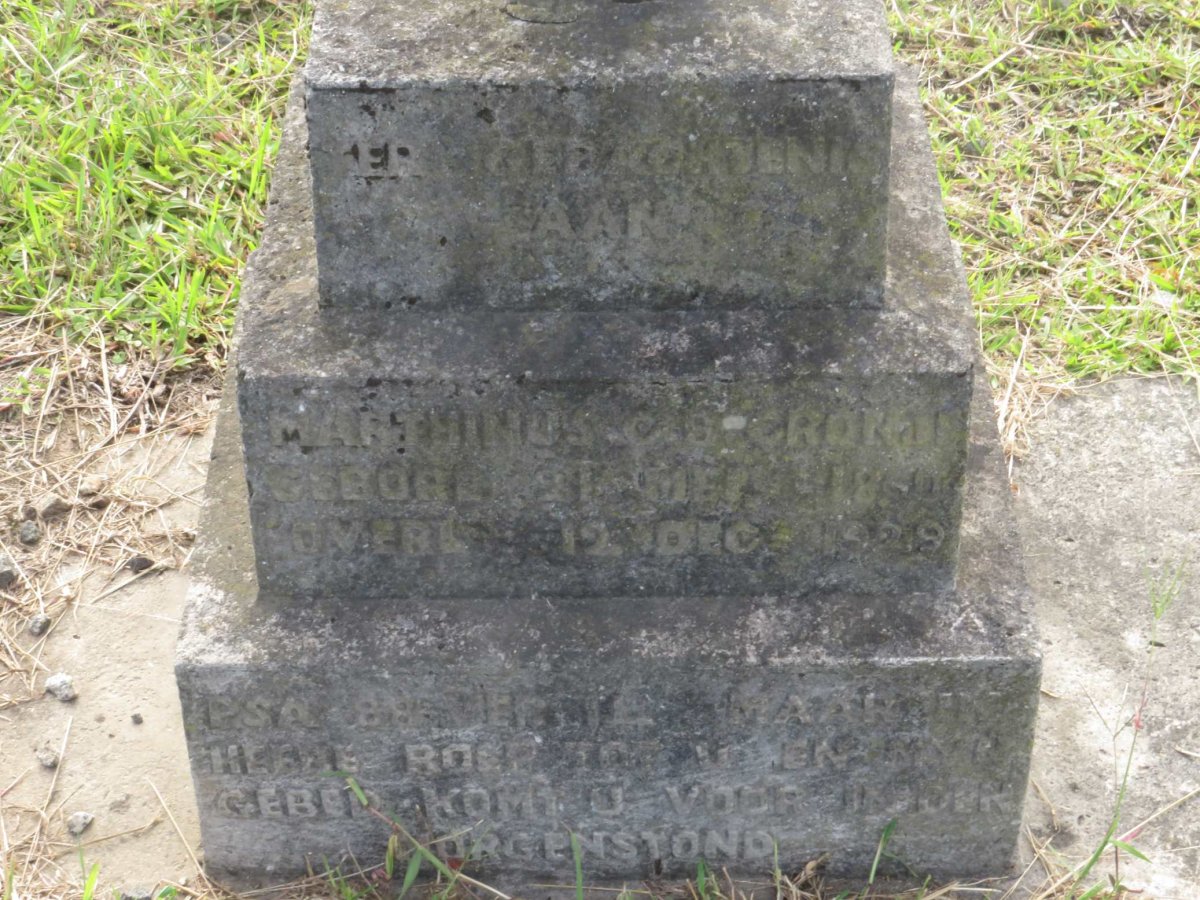 CRONJE Marthinus C.B. 1860-1929