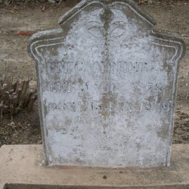 CAMPHER F.M. 1873-1949