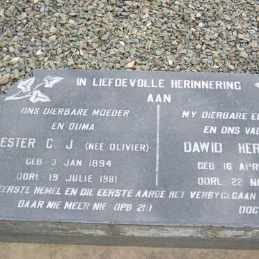 FOURIE Dawid Hermanus 1871-1944 &amp; Hester C.J. OLIVIER 1894-1981