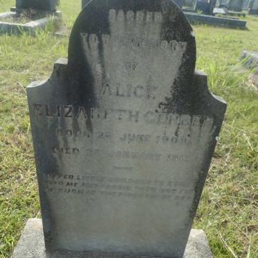 GERBER Alice Elizabeth 1909-1913