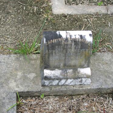 MEYER Andrias M. 1917-1934