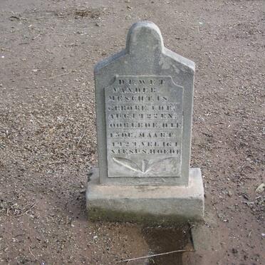 MESCHT De Wet, van der 1922-192?