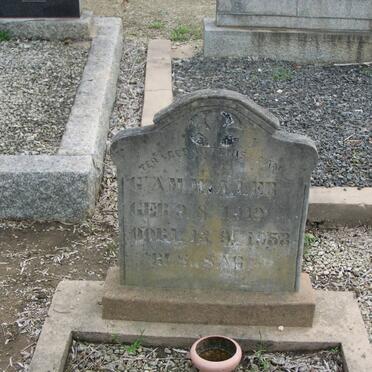 MULLER G.A.M. 1919-1953