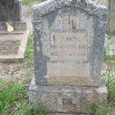 PIO Tokkie 1933-1935