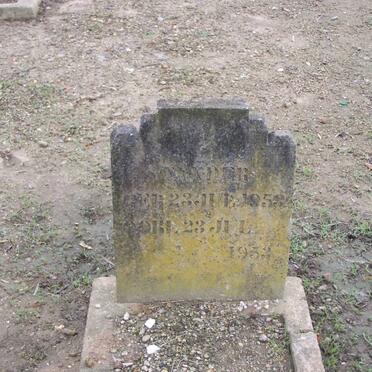 STANDER 1953-1953