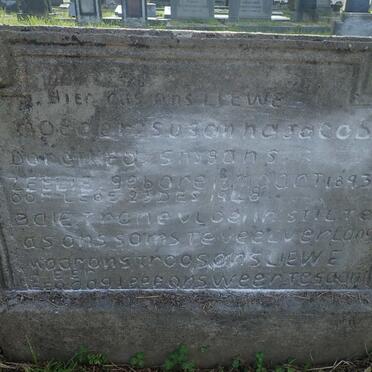 SNYGANS Susanna Jacoba Dorothea nee ZEELIE 1893-1948