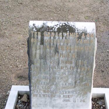 STANDER Adrian Hendrikus -1914