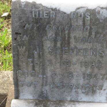 STEFFENS W.J. 1892-1947