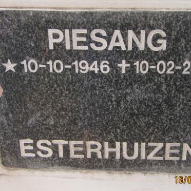 ESTERHUIZEN Piesang 1946-2005