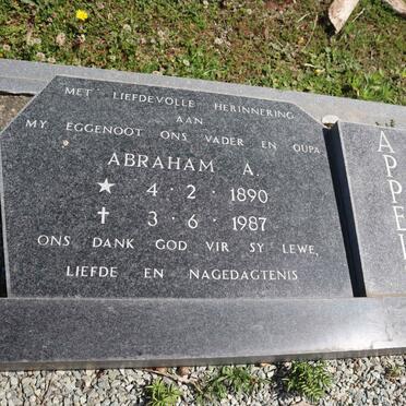 APPELS Abraham A. 1890-1987