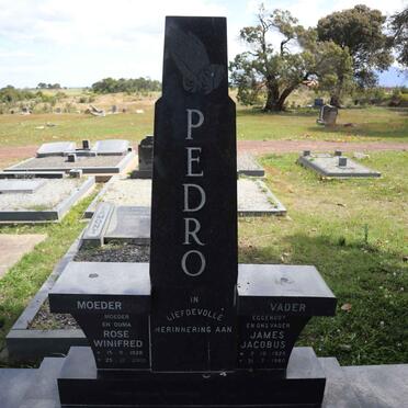 PEDRO James Jacobus 1925-1980 & Rose Winifred 1928-2009_1