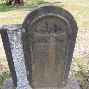 VOLKWYN Philipina 1916-1932