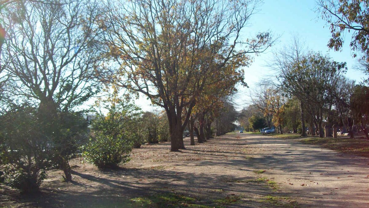 4. Overview