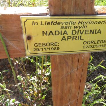 APRIL Nadia Divenia 1989-2016