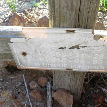 ADAMS Arene 1959-2016