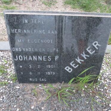 BEKKER Johannes P. 1901-1979