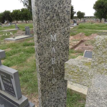 BOSMAN Mario 1961-2003 & Amanda 1959-2009 _2