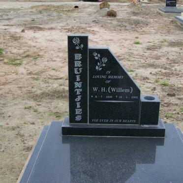 BRUINTJIES W.H. 1936-2002