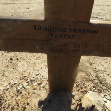 CEDRAS Laughan Shayton 2019-2019