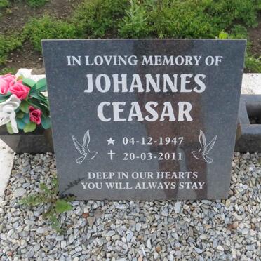 CEASAR Johannes 1947-2011