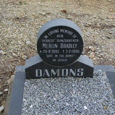 DAMONS Merlin Bradley 1995-1996