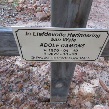 DAMONS Adolf 1970-2022