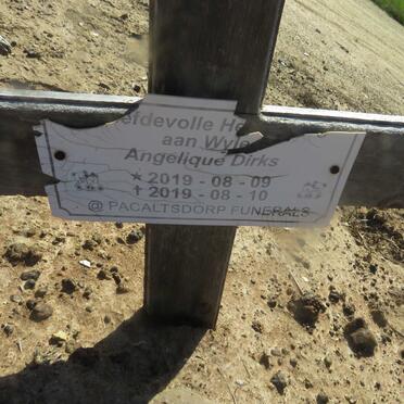 DIRKS Angelique 2019-2019