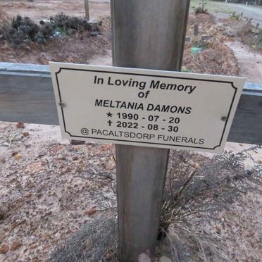 DAMONS Meltania 1990-2022