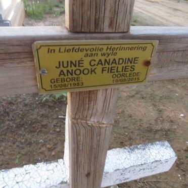 FIELIES June Canadine Anook 1983-2015