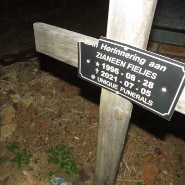 FIELIES Zianeen 1996-2021