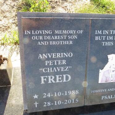 FRED Anverino Peter 1988-2015