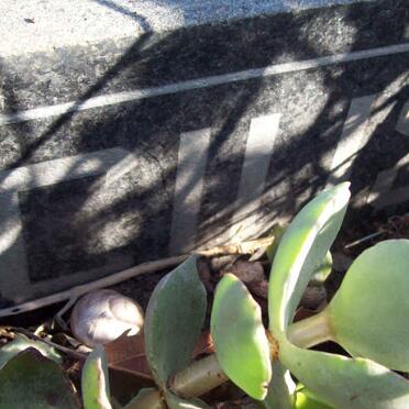 FABRICIUS Martha Maria Jacomina nee V.D. WESTHUIZEN 1895-1976