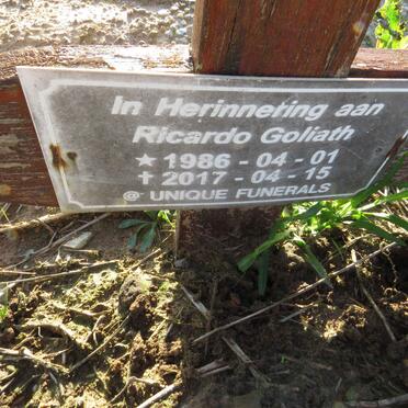 GOLIATH Ricardo 1986-2017