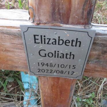 GOLIATH Elizabeth 1948-2022