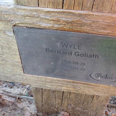 GOLIATH Bernard 1956-2020