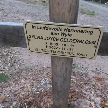 GELDERBLOEM Sylvia Joyce 1965-2022