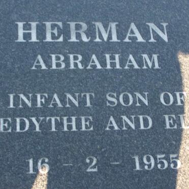 HERMAN Abraham 1955-1955