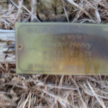 HENRY Hester 1931-2017