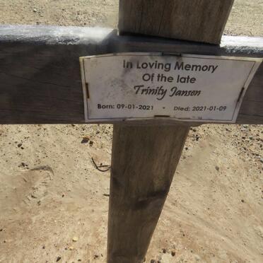 JANSEN Trinity 2021-2021