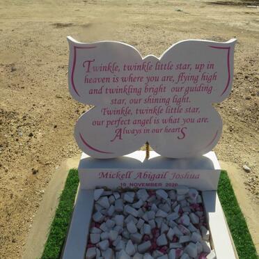 JOSHUA Mickleff Abigail -2020