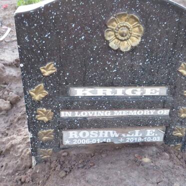 K - Surnames :: Vanne - K